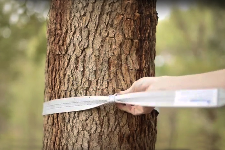 Tree protectors help bear the weight of you and your hammock