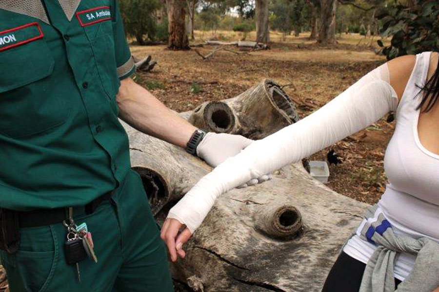 Apply a pressure immobilisation bandage to the limb immediately and stay calm and still.