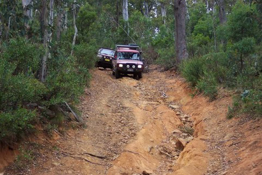 Going Bush in the 4WD