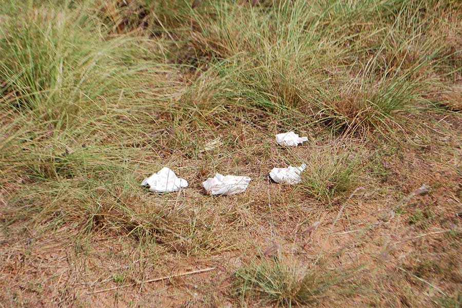 Pick up your toilet paper