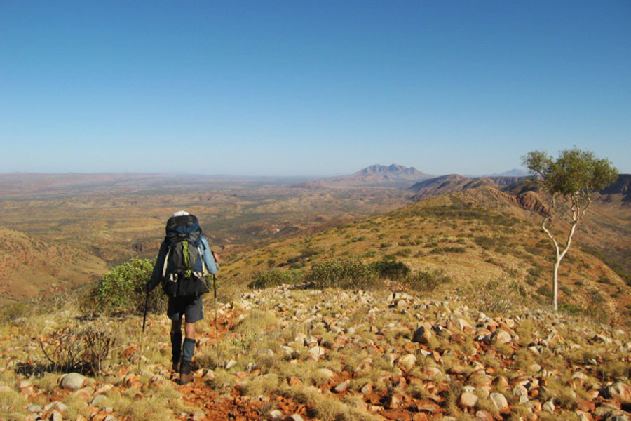 Man hiking with pack and trekking poles out in the bush