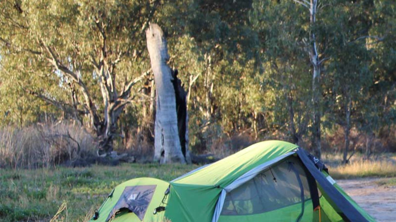 companion pro hiker 3