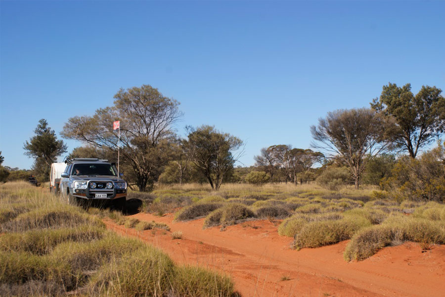 4WD driving on track with lots of spinifex plants