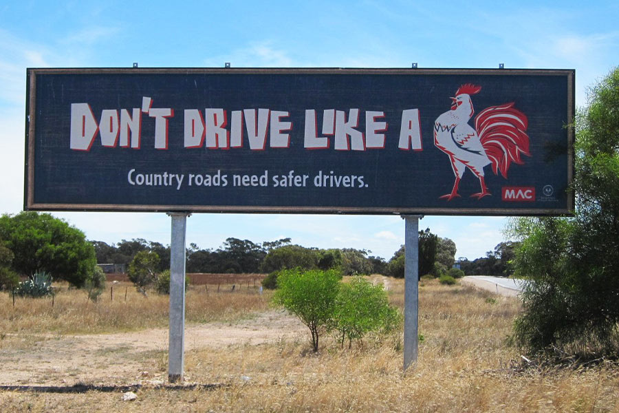 Don't drive like a (rooster) road safety sign