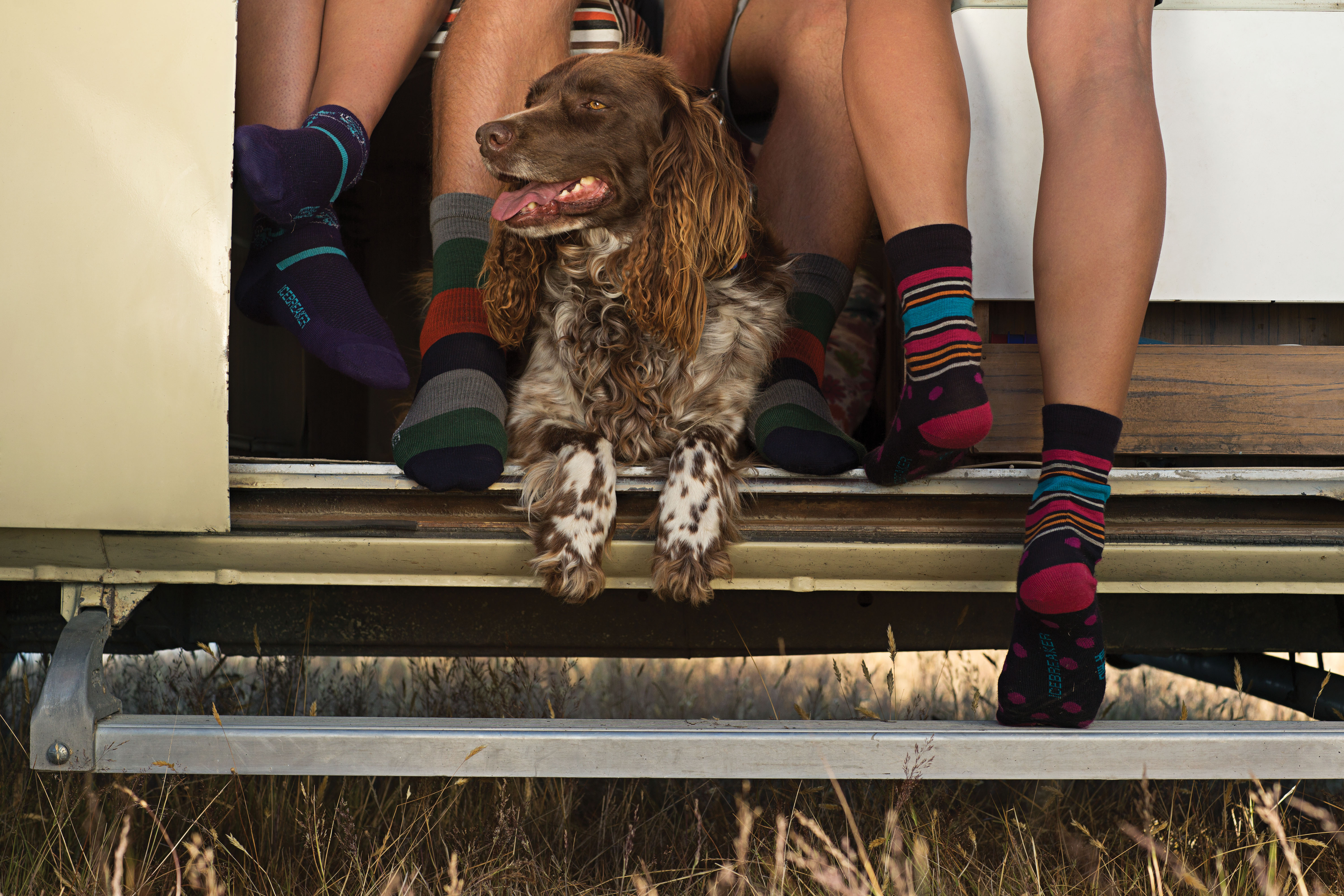 Campers wearing socks on the steps of a camper with a dog also in the doorway