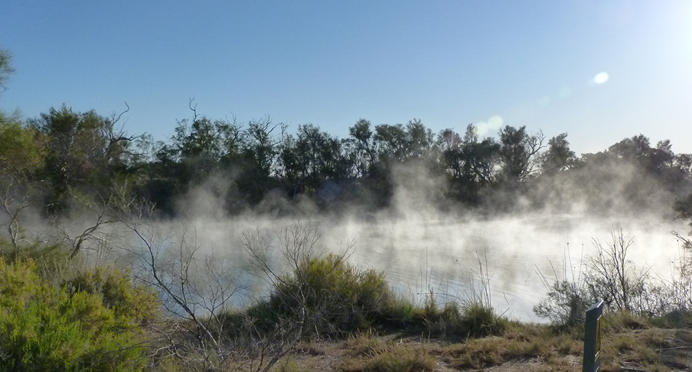 Dalhousie Springs full of steam