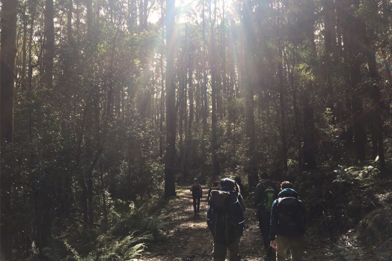 Top 5 Hikes Near Melbourne