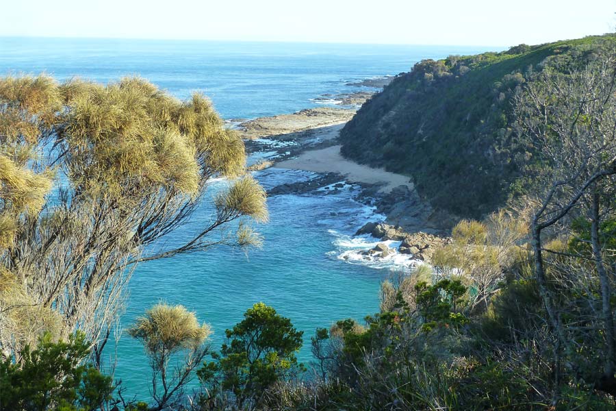 Typical view along the Great Ocean Walk