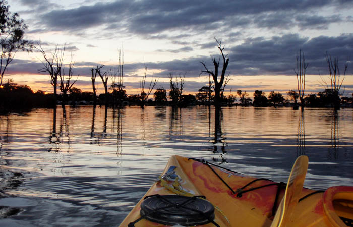 sunset on the murray river from a kayak
