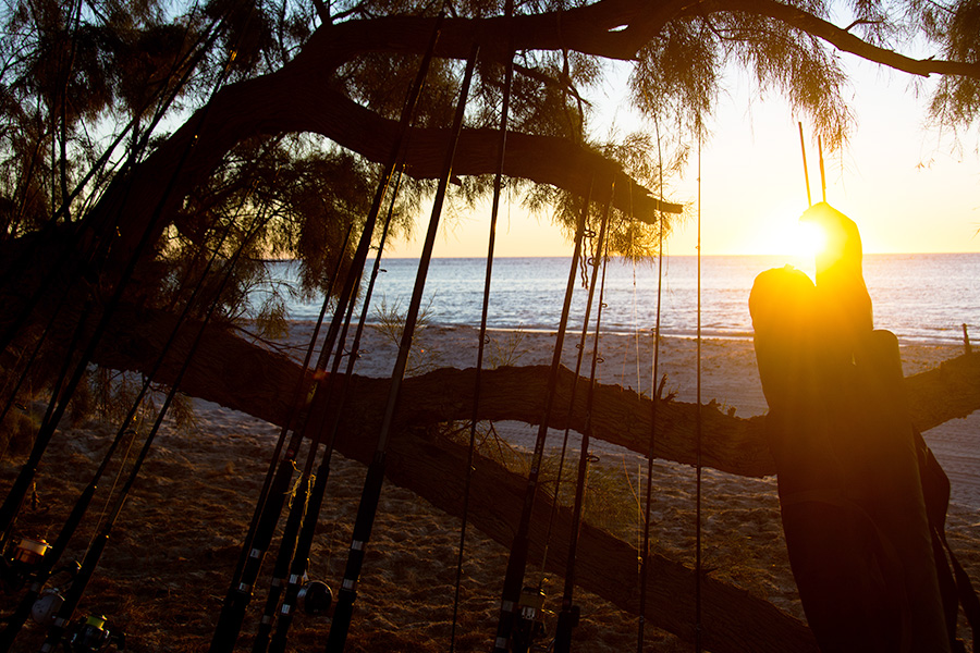 A beach with fishing rods leaning against a tree branch, with the sun setting ahead. 