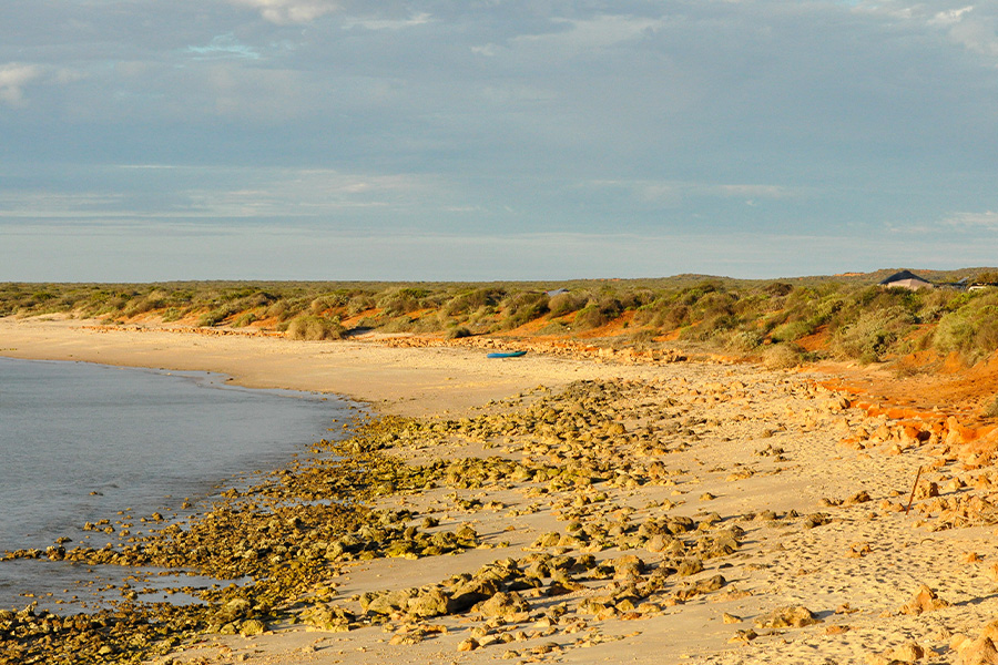 A golden, rocky shoreline with green shrubbery and a flat lake.