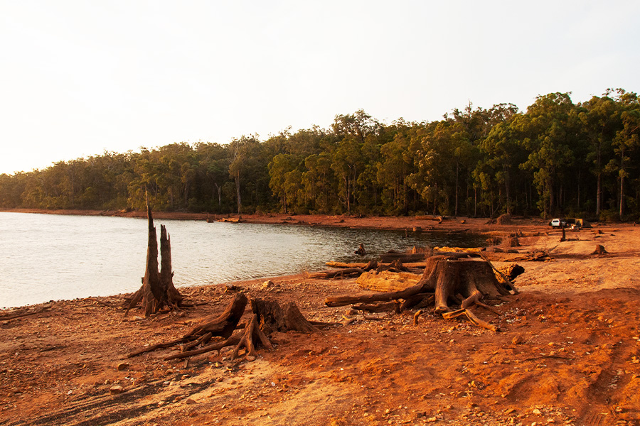 Bright red sand and broken tree stumps by a body of water at sunset. 