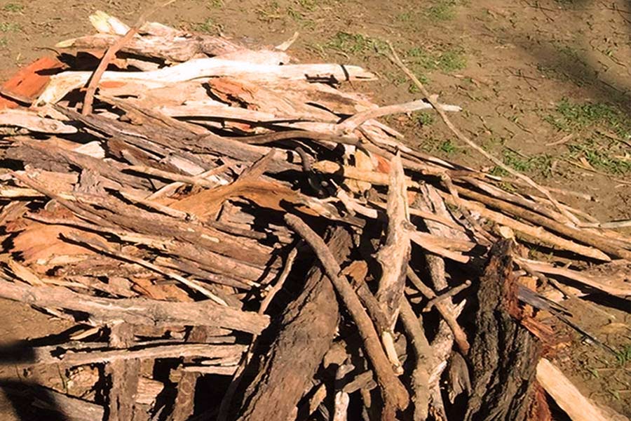 The Long Dark Starting A Fire Outside / Fire Starting The Long Dark Wiki Fandom / Campfire crafting in 'the long dark'amanda farough/mic once you've located your shelter, you need the means to build fire.