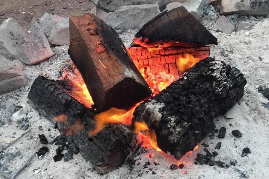 The right wood means hot coals ready for cooking. Logs burning into coals on a campfire