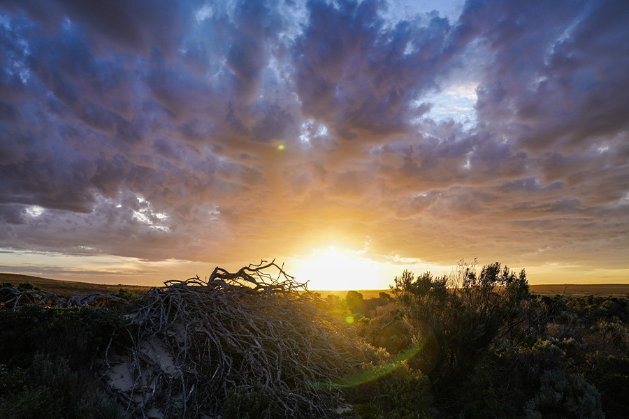 A sunset over a country scene. 