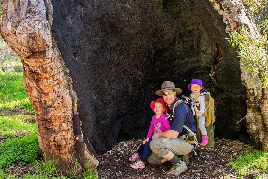 The family inside a hollow tree