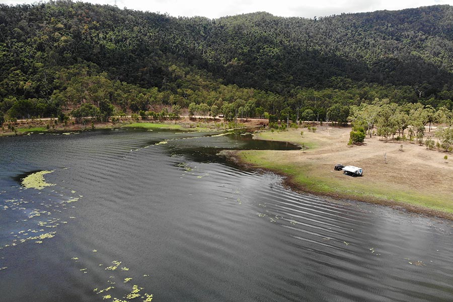 A large body of water with moss strewn across the surface and forestry in the background. 