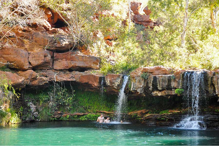 Fern-pool - one-of-my-favourite-places-in-WA