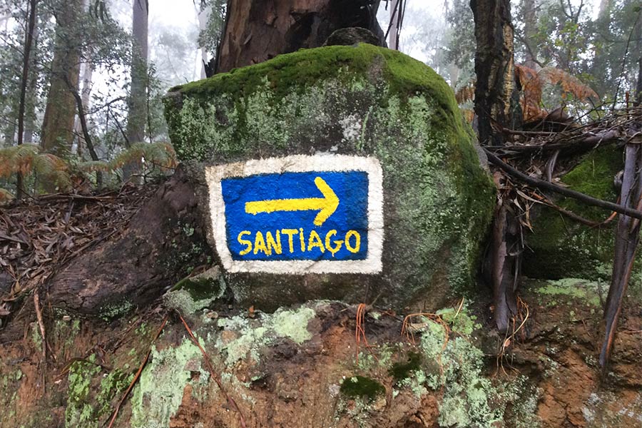 Sign leading the way on the Camino