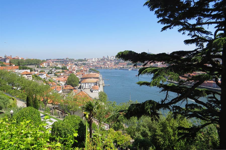 View of the landscape around Douro River in Portugal