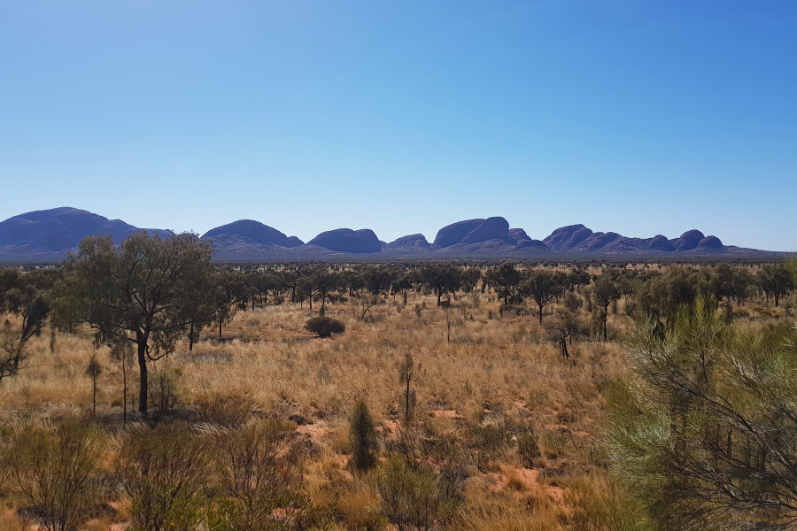 The Olgas lookout is a stop along the GCR