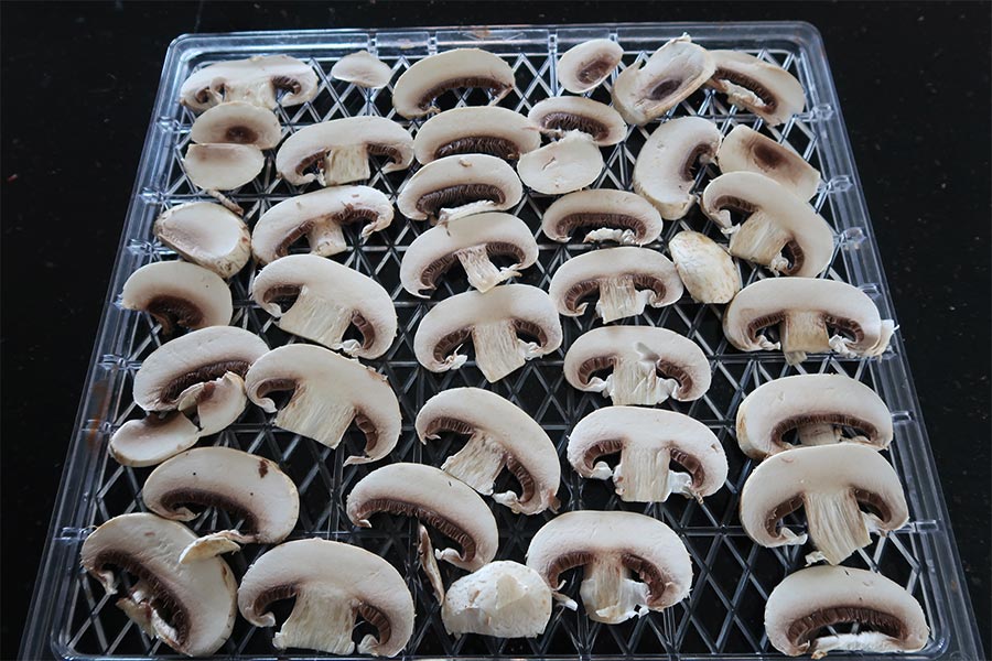 Fresh mushrooms cut up ready for the dehydrator