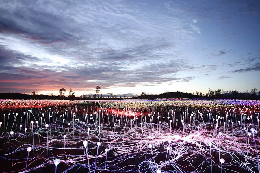 A field lit up with a light installation