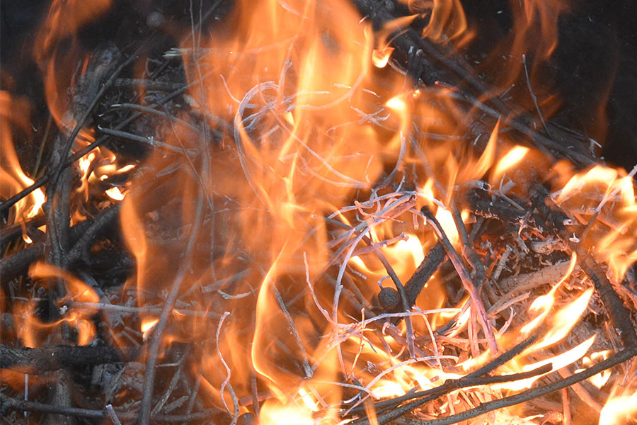 Burning fire outdoors with sticks, leaves, etc.