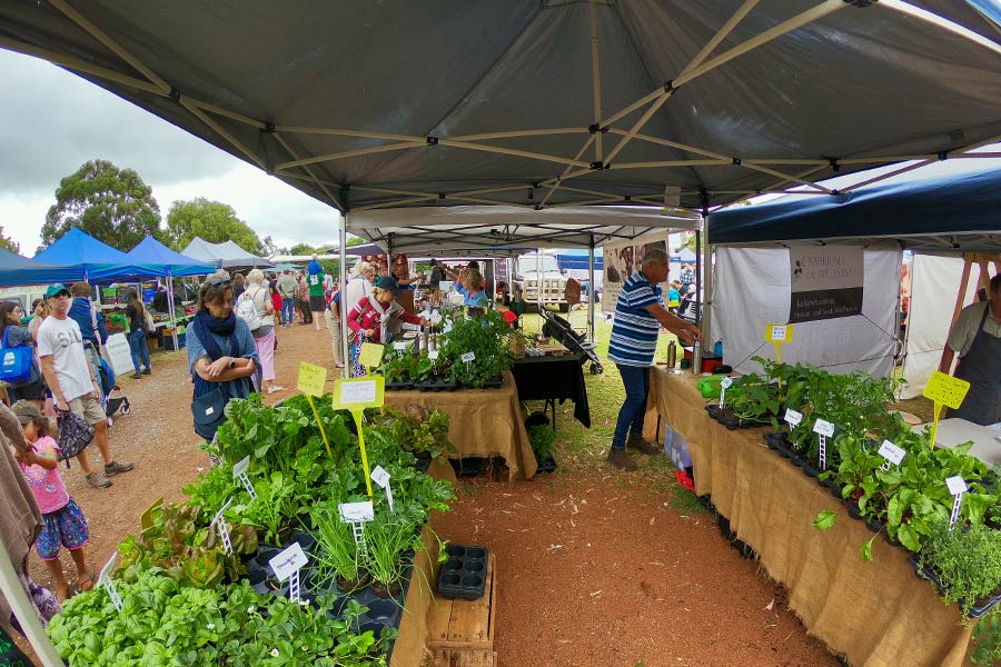 Looking-at-the-fresh-produce-at-the-Margaret-River-Market