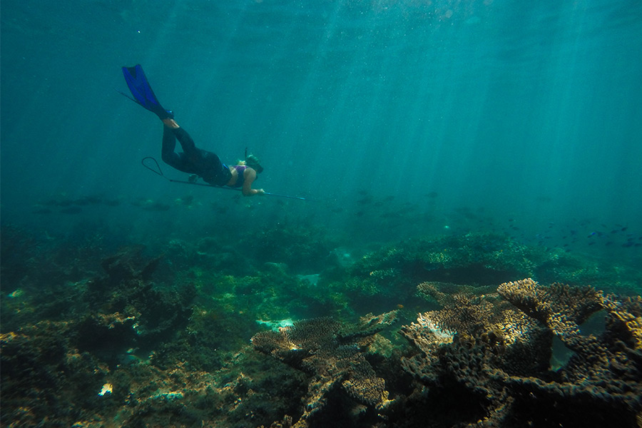 Diving down at Five Fingers Reef