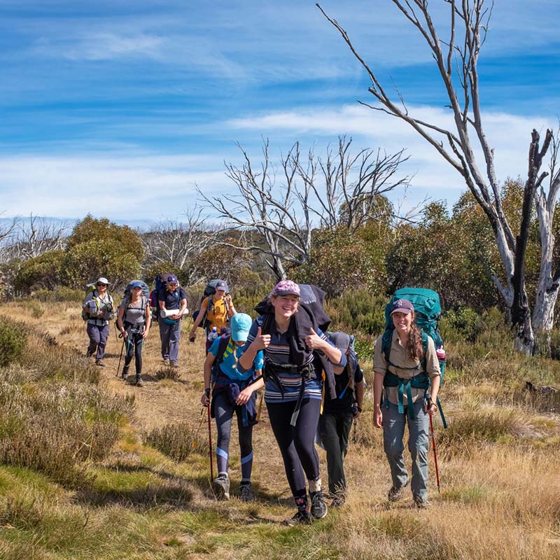 bushwalking backpack Online Sale