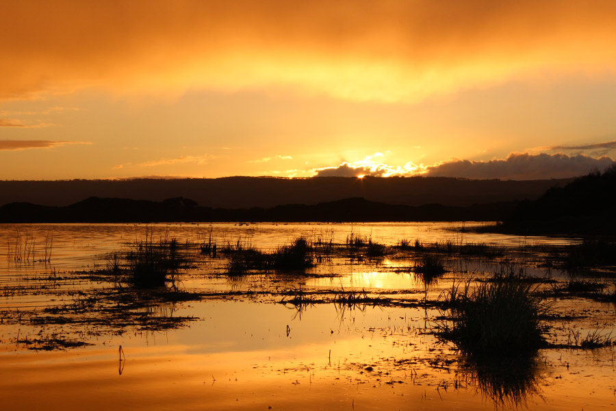 Sunset-at-the-wetlands
