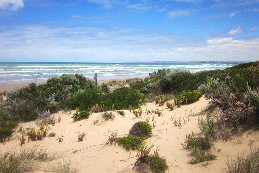 The sand dunes along the Coorong