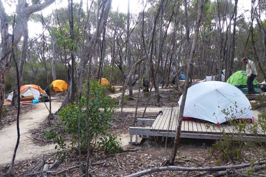 Tents setup in Cup Gum campsite on Kangaroo Island