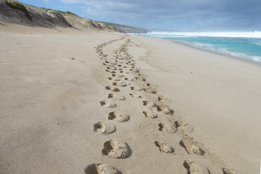 Soft sand along the beaches in Kangaroo Island