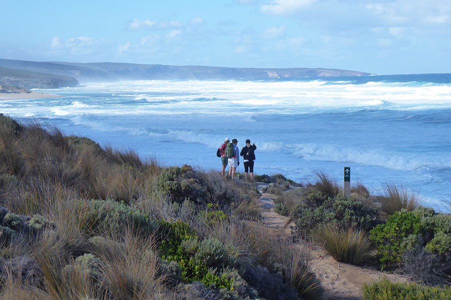 People looking out over the ocean on Kangaroo Island
