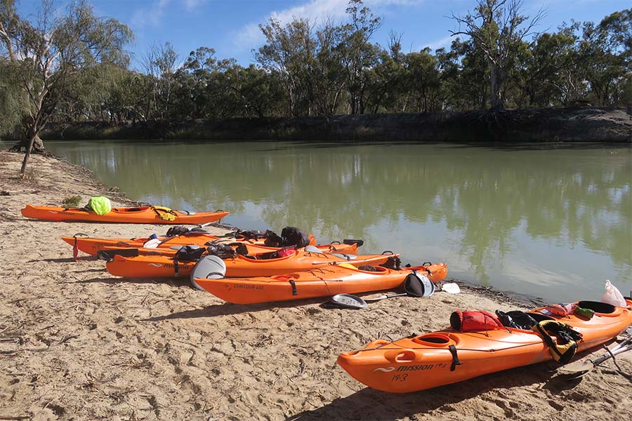 A number of kayaks resting on a sandy beach next to the Murray River