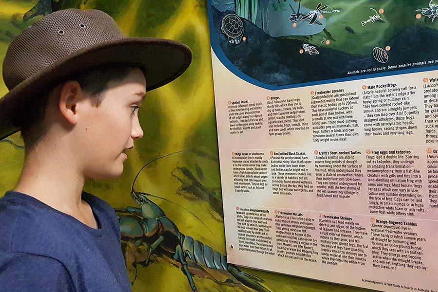 A boy reading factual information at a museum.