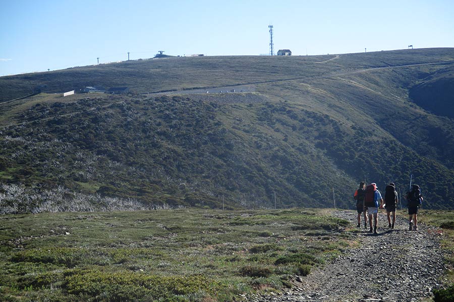Hikers walking along a trail in the Flinders Ranges