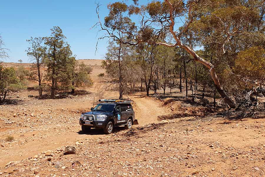 4wd driving along track in Rawnsley Park Station