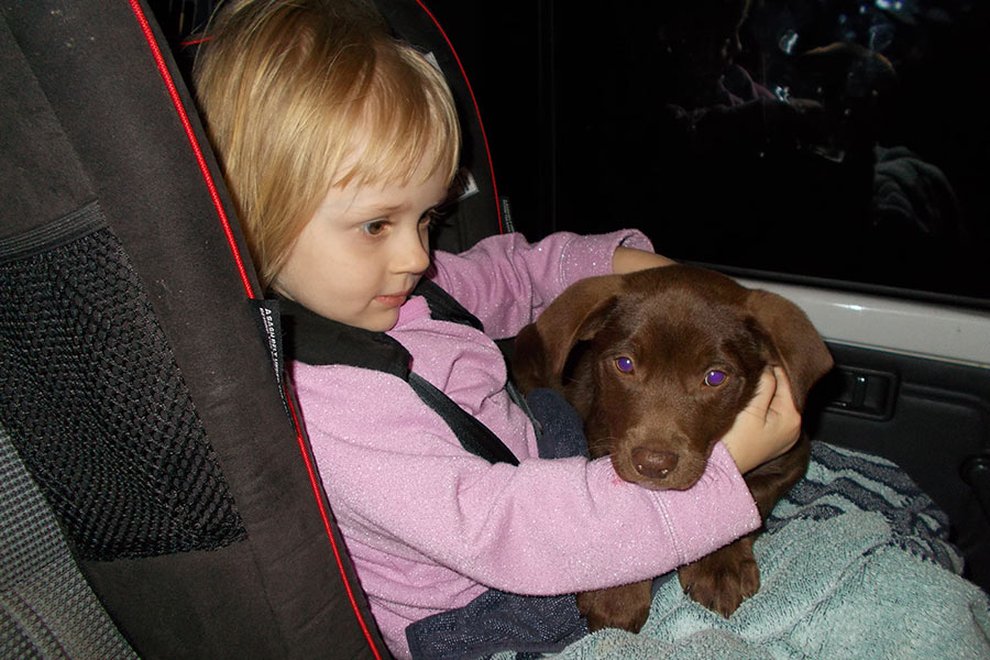 Young girl hugging her brown puppy in the car