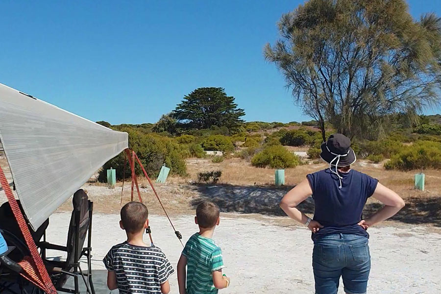 Family looking out at emus near their campsite