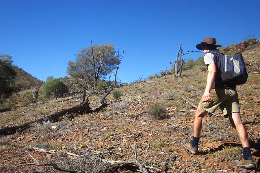 Young male hiker walker along rocky/grass terrain on a hill