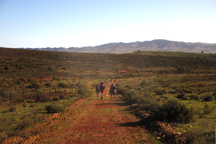 People walking down a dirt dry track along the Heysen Trail in the Australian outback