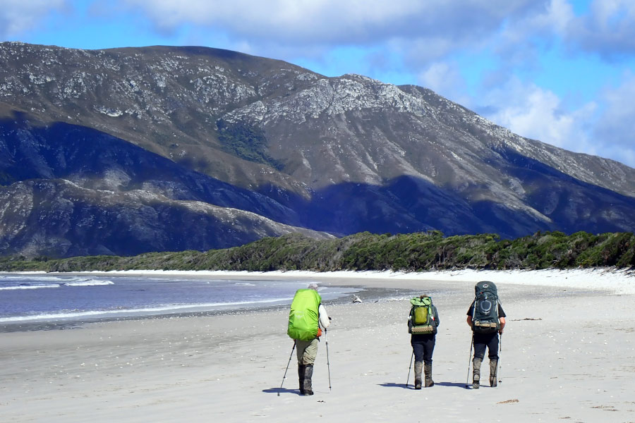 Three hikers walking to Melaleuca along the South Coast Track