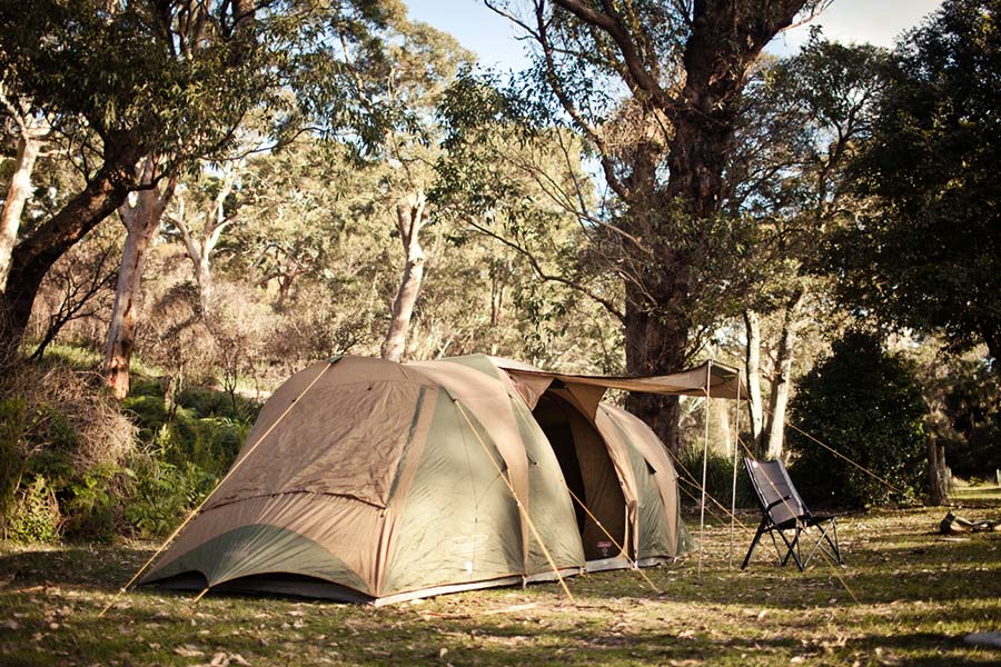 A large Coleman Chalet dome tent set up at a bush campsite.