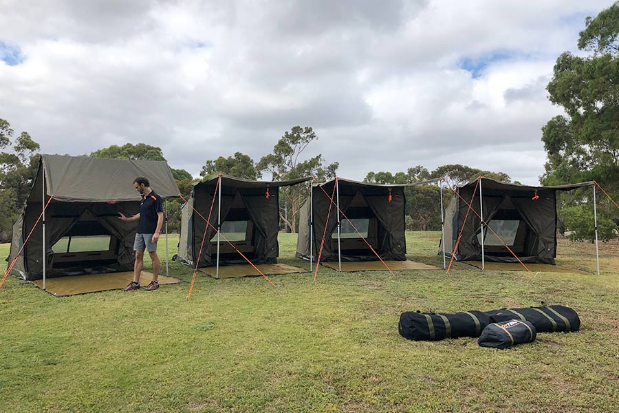 Four RV tents pitched in a row on a grassy field