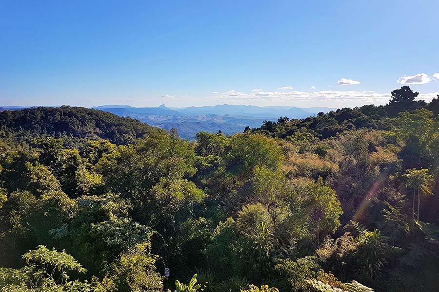 The Toolona Creek circuit is a 17.4km return loop. An expansive view with blue mountains and a valley in the far distance
