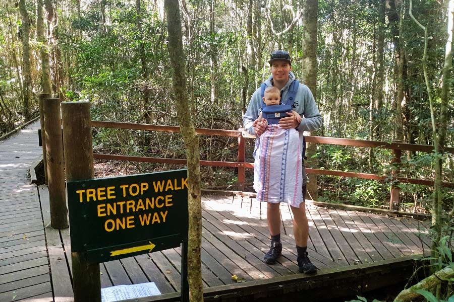 A man with a baby in a carrier stands on a boardwalk in a forest, next to a sign that reads Tree Top Walk.