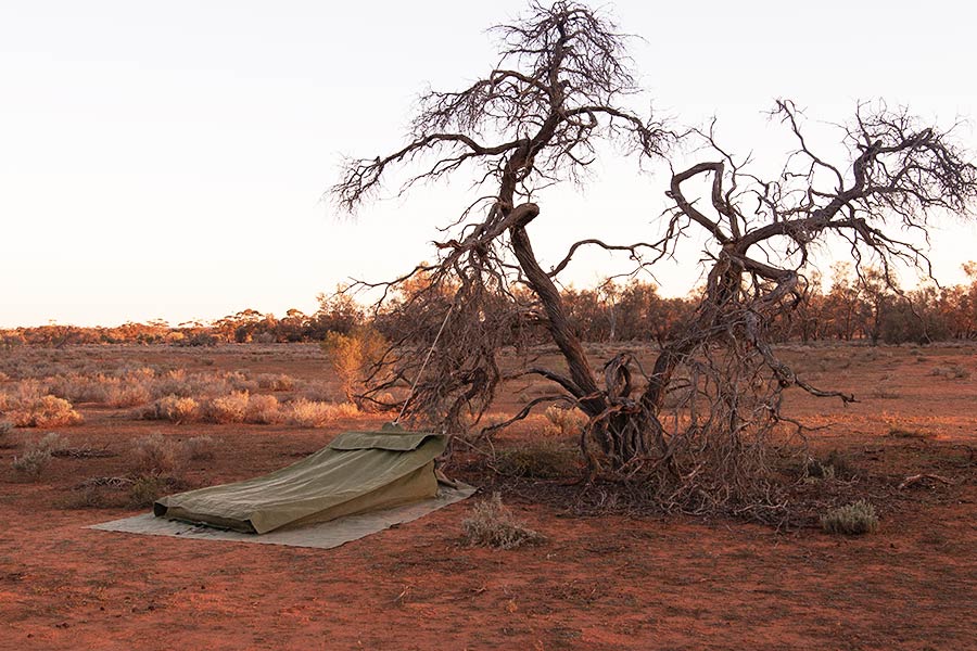A basic swag set up, supported by a guy rope tied to a tree, in a remote location.